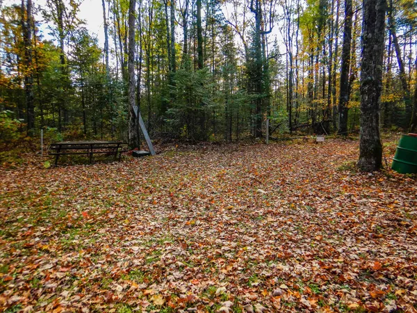 $99,900 | N16656 Dexter Road, Pembine, WI 54156
