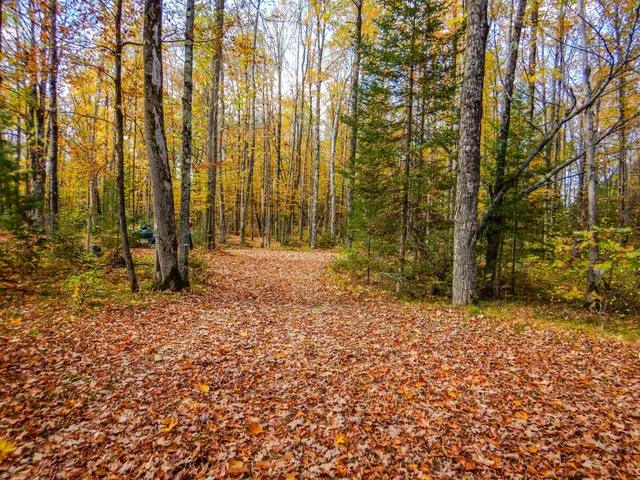 $99,900 | N16656 Dexter Road, Pembine, WI 54156