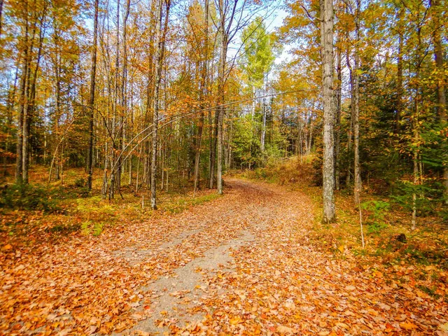 $99,900 | N16656 Dexter Road, Pembine, WI 54156