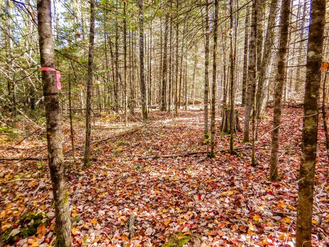 $99,900 | N16656 Dexter Road, Pembine, WI 54156