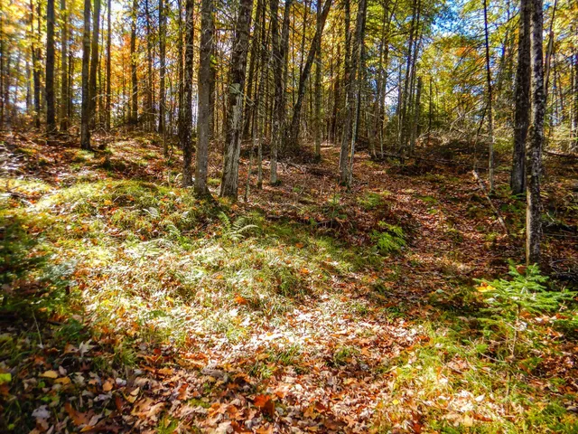 $99,900 | N16656 Dexter Road, Pembine, WI 54156