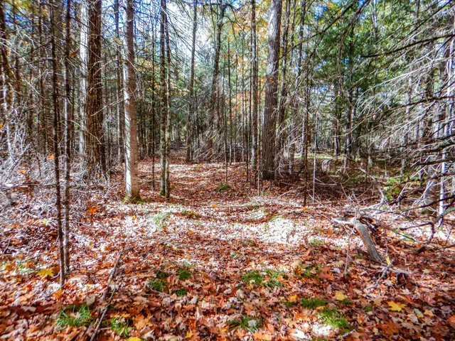 $99,900 | N16656 Dexter Road, Pembine, WI 54156