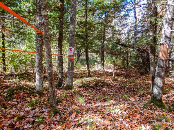 $99,900 | N16656 Dexter Road, Pembine, WI 54156