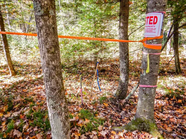 $99,900 | N16656 Dexter Road, Pembine, WI 54156