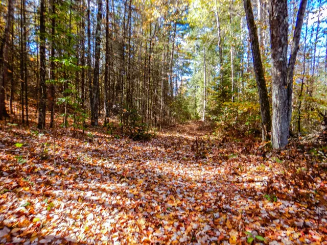 $99,900 | N16656 Dexter Road, Pembine, WI 54156