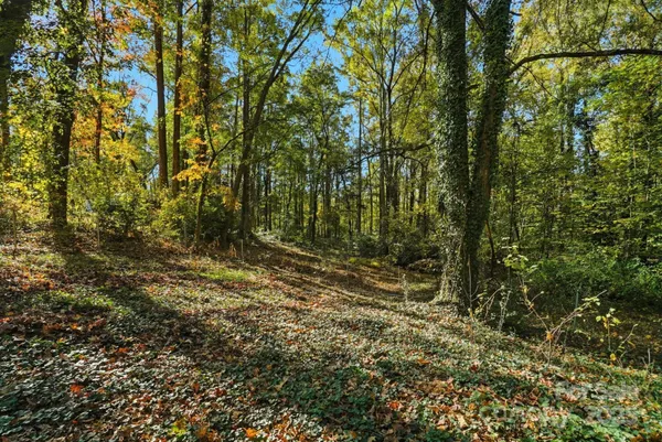 a view of outdoor space and trees