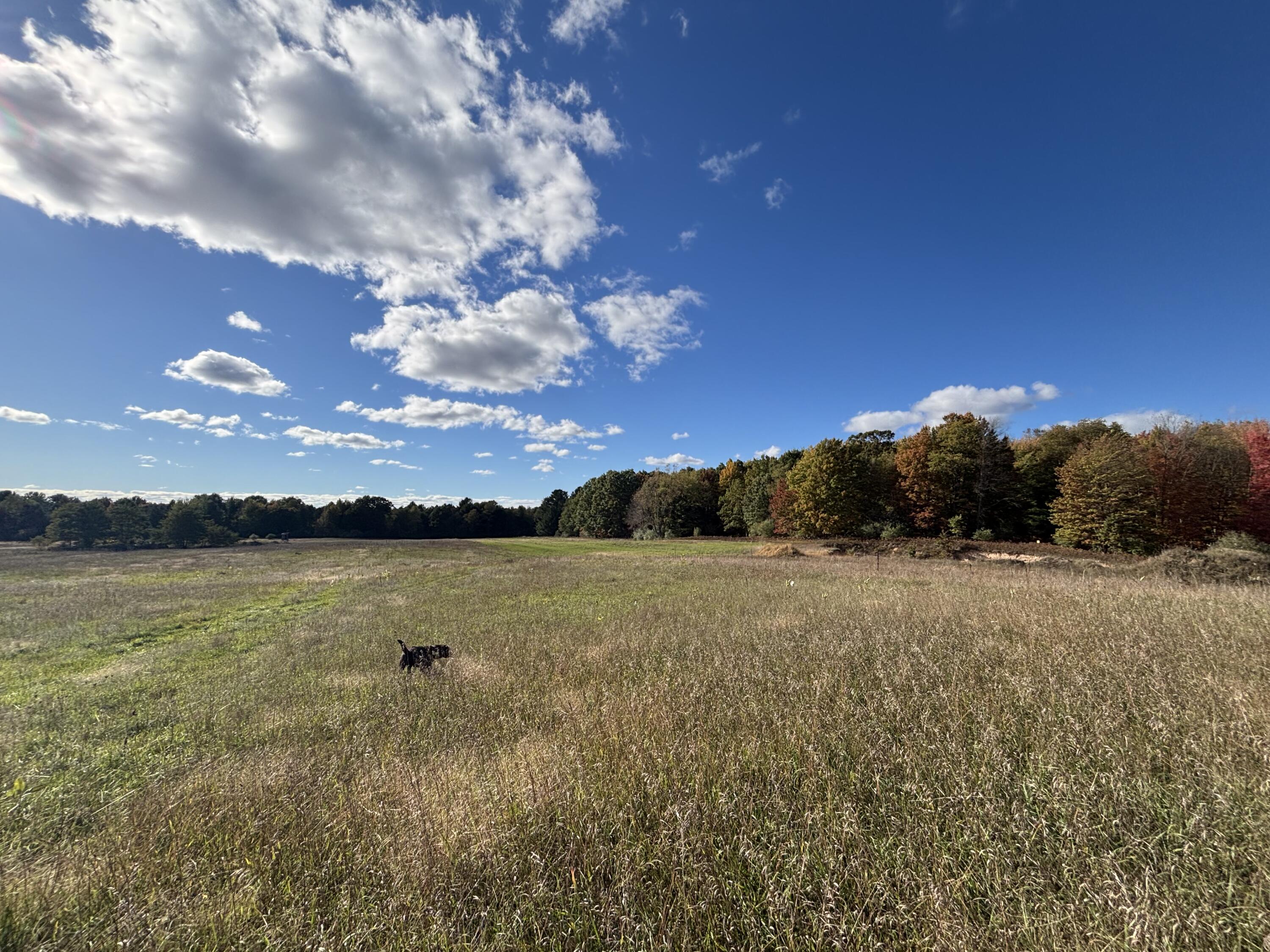 20 North Campbell Road Fountain, MI 49410 - Photo 11 of 22 IMG_9715