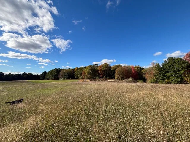 $115,000 | 20 North Campbell Road, Fountain, MI 49410