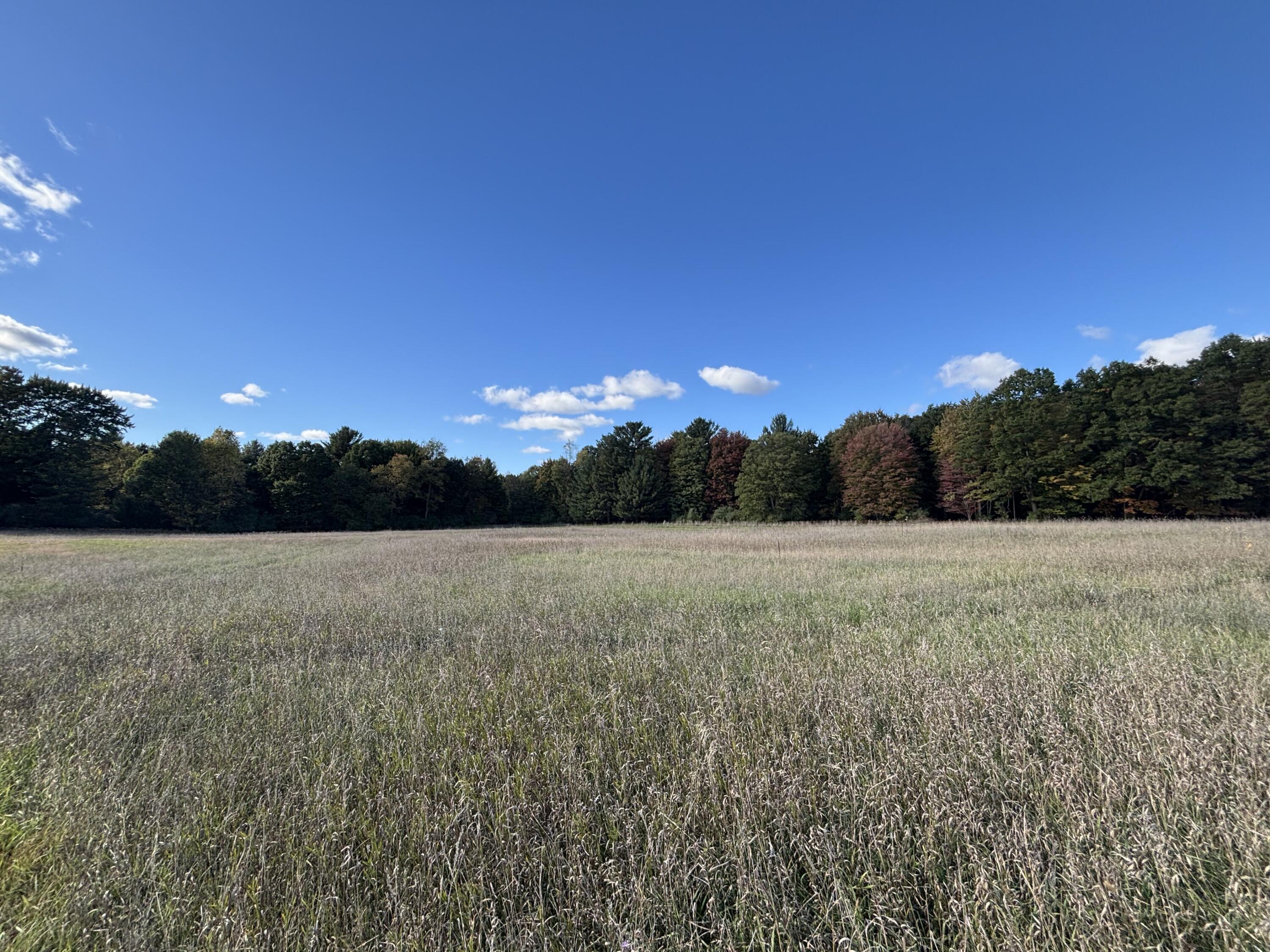 20 North Campbell Road Fountain, MI 49410 - Photo 13 of 22 IMG_9719