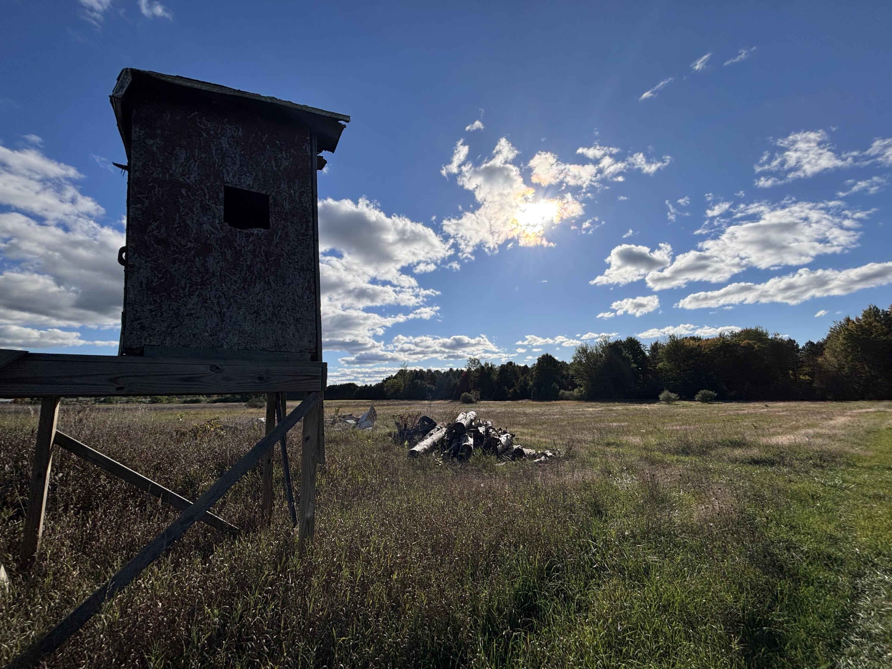 20 North Campbell Road Fountain, MI 49410 - Photo 15 of 22 IMG_9727
