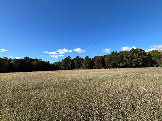 $115,000 | 20 North Campbell Road, Fountain, MI 49410