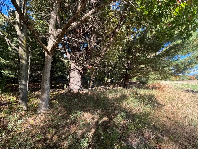 $115,000 | 20 North Campbell Road, Fountain, MI 49410