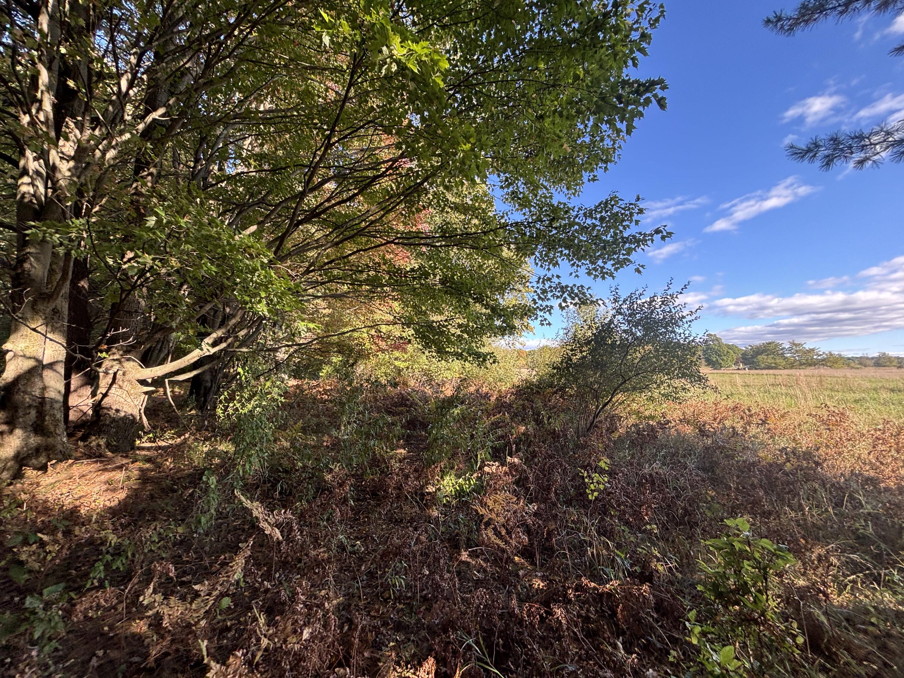 20 North Campbell Road Fountain, MI 49410 - Photo 18 of 22 IMG_9738