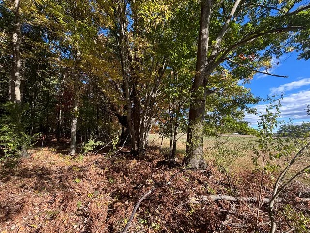 $115,000 | 20 North Campbell Road, Fountain, MI 49410