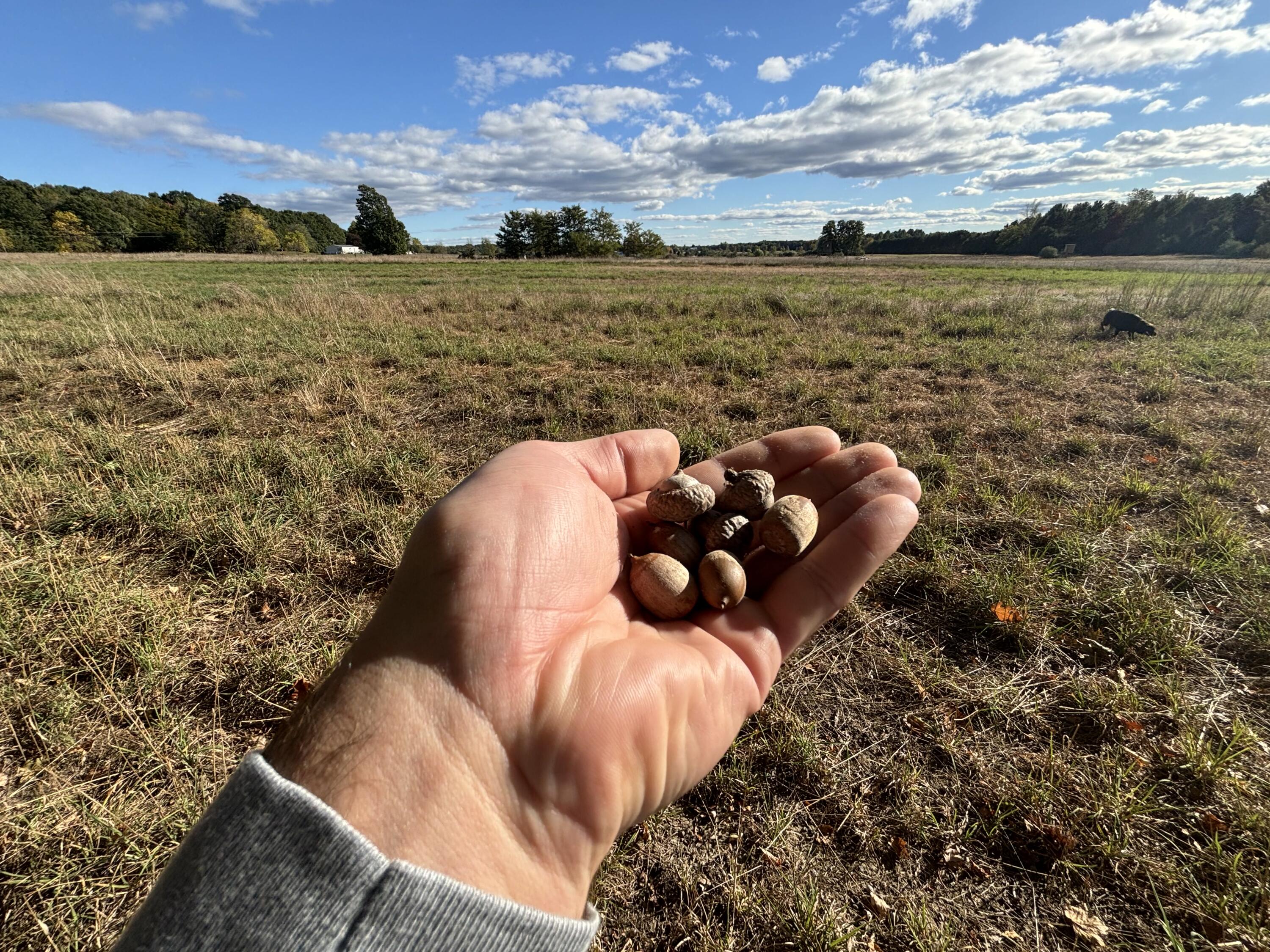 20 North Campbell Road Fountain, MI 49410 - Photo 20 of 22 IMG_9747