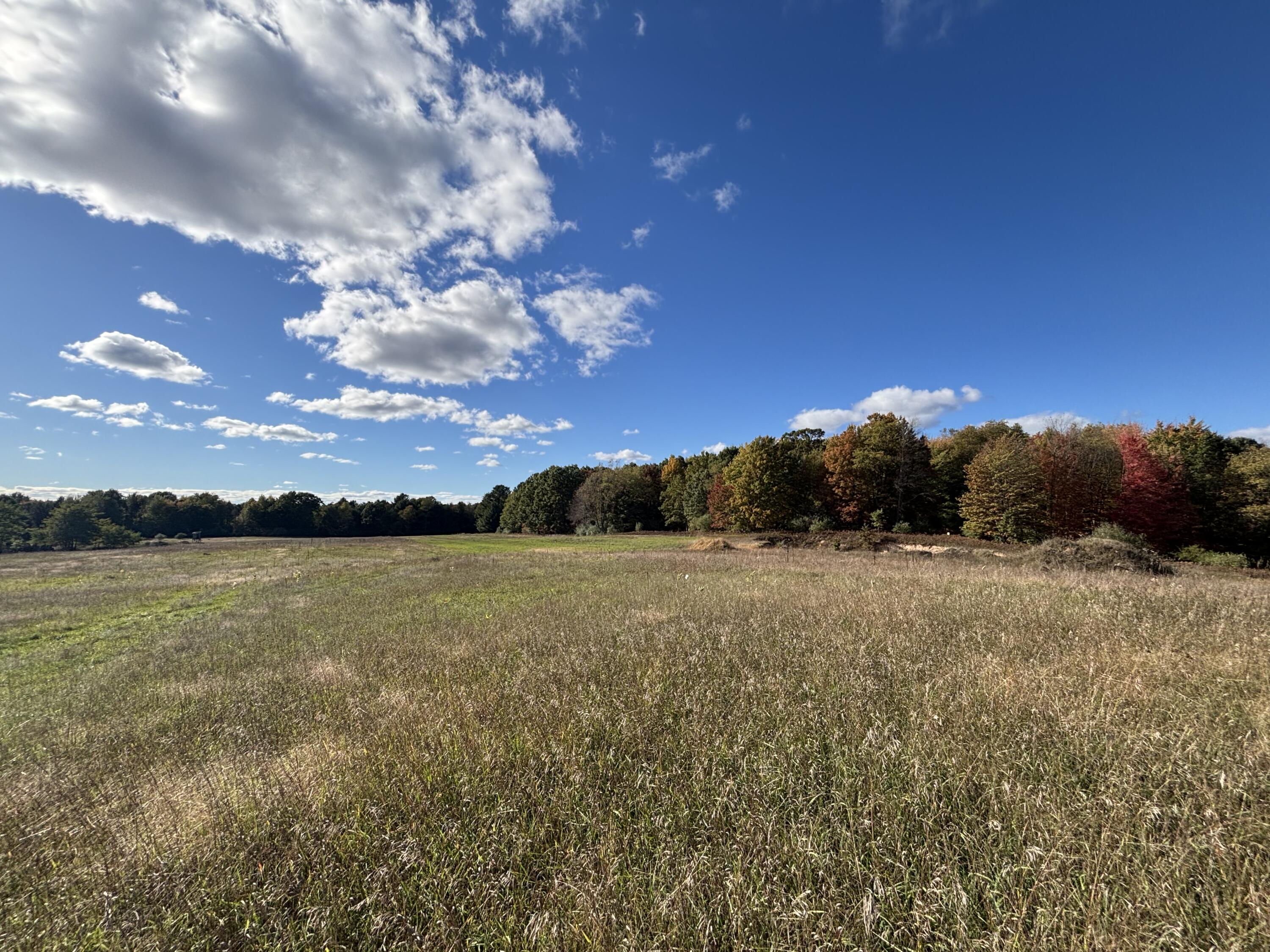 20 North Campbell Road Fountain, MI 49410 - Photo 10 of 22 IMG_9711