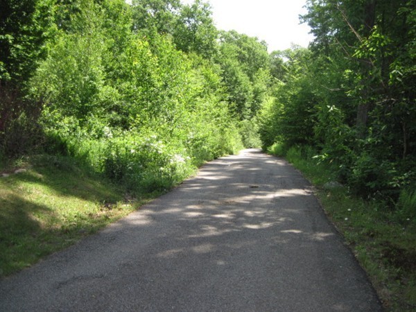 66 Old Poor Farm Road Ware, MA 01082 - Photo 26 of 26 a view of a road with a yard