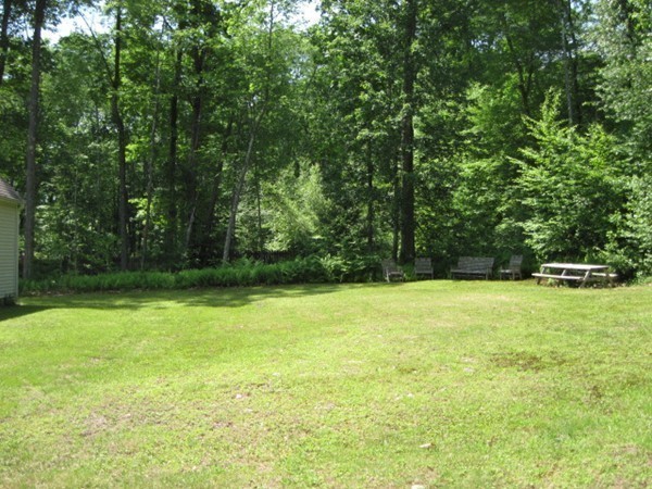 66 Old Poor Farm Road Ware, MA 01082 - Photo 6 of 26 a view of a yard with a trees