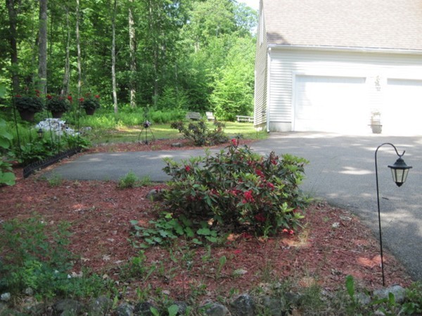 66 Old Poor Farm Road Ware, MA 01082 - Photo 7 of 26 a view of a backyard with garden
