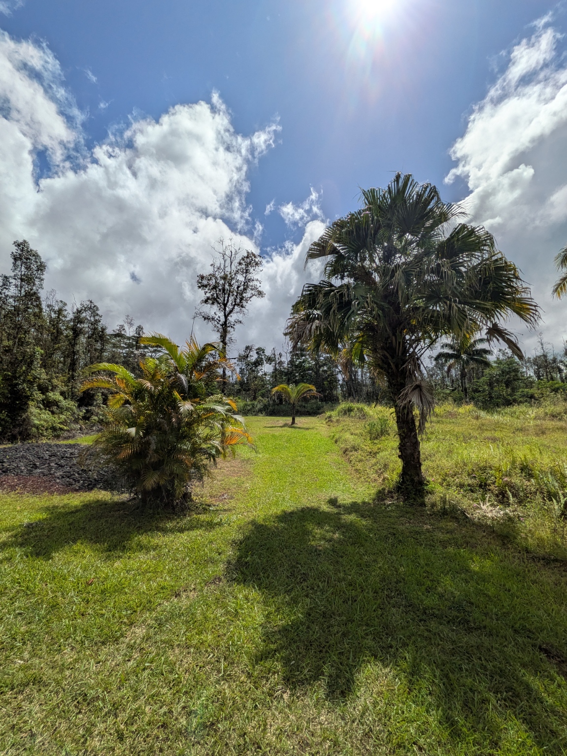 847 Molokai Road Pahoa, HI 96778 - Photo 24 of 24 Gallery Image 24