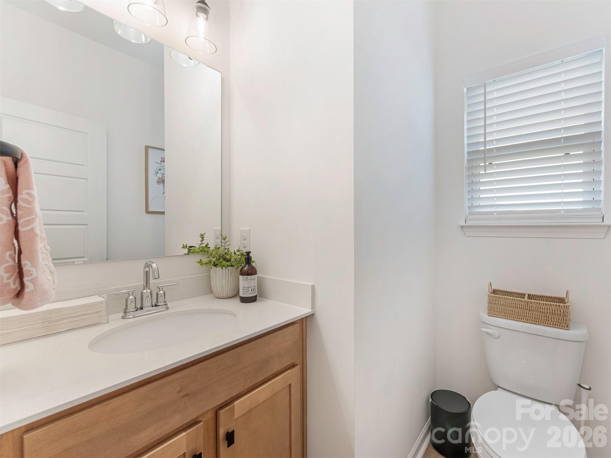 966 Scotch Meadows Loop Monroe, NC 28110 - Photo 19 of 48 a bathroom with a sink and a toilet