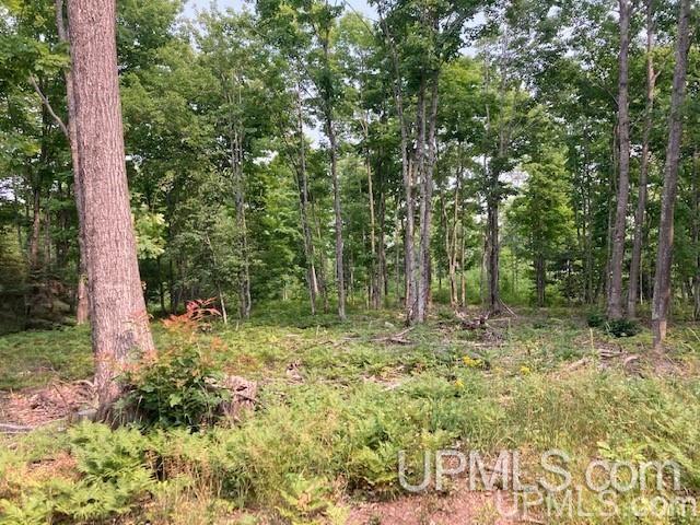 Tbd Old Mill Road Toivola, MI 49965 - Photo 5 of 25 Gallery Image 5