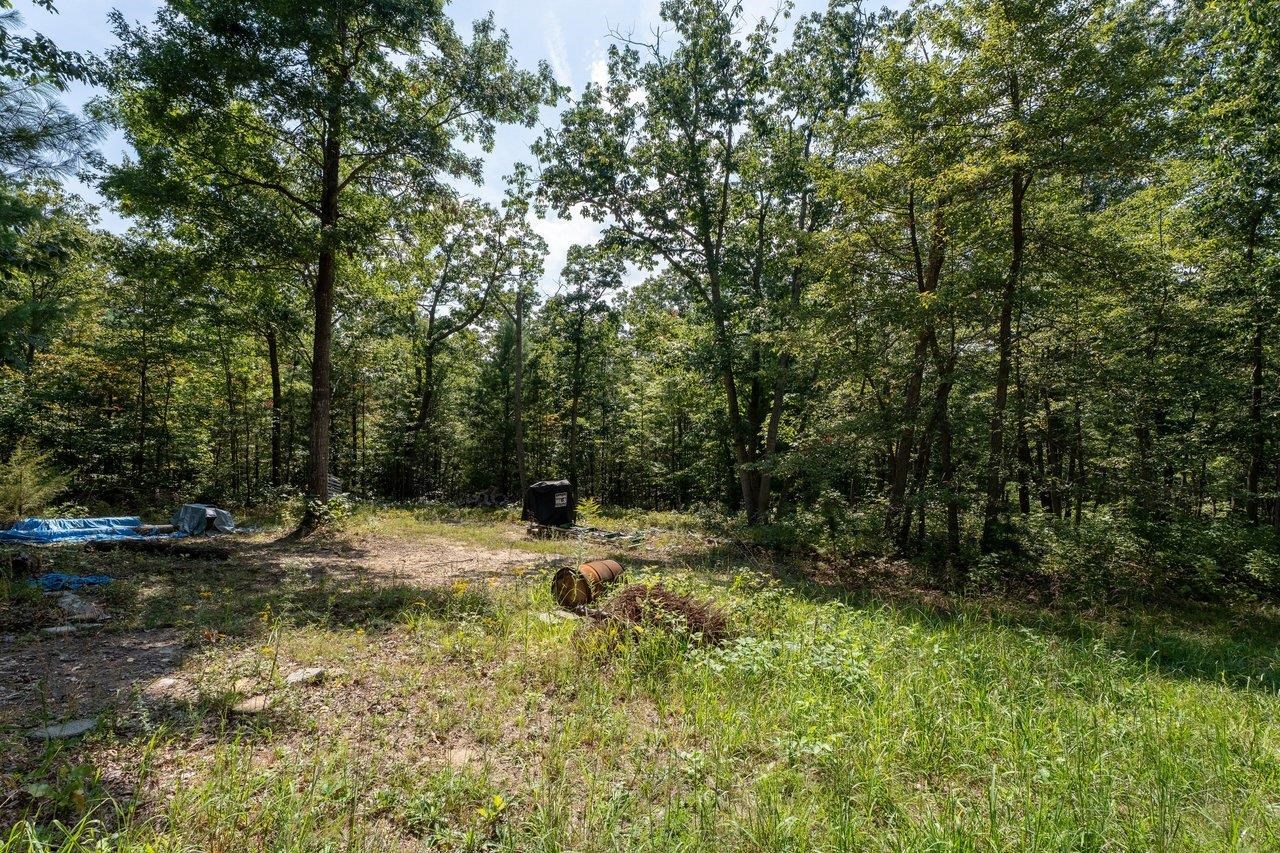 19806 Huckleberry Road Elkton, VA 22827 - Photo 64 of 74 Gallery Image 64