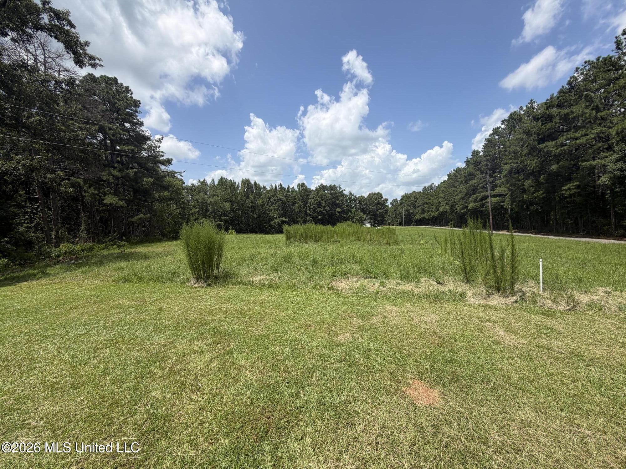 1884 Ranch Town Road Hickory Flat, MS 38633 - Photo 28 of 41 IMG_8591