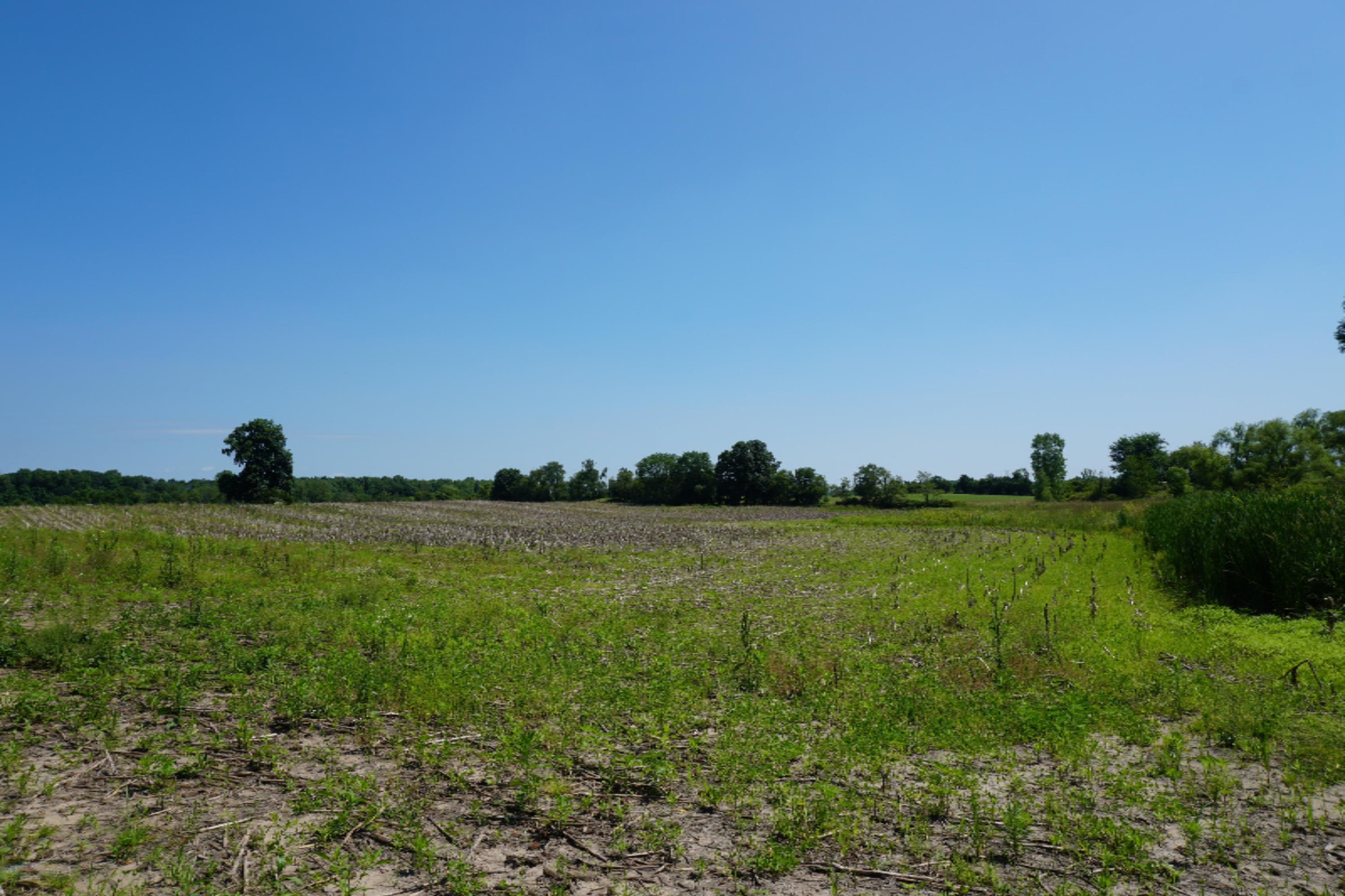 9155 Cascade Road Southeast Ada, MI 49301 - Photo 3 of 3 2019-06-27 11.57.28
