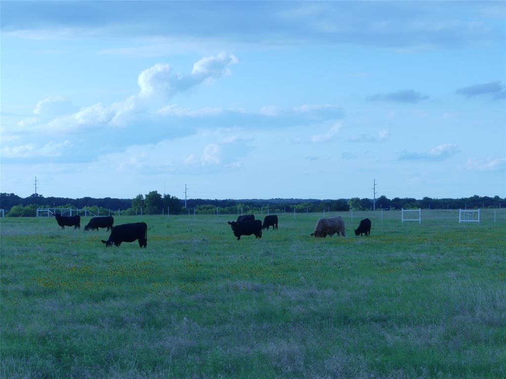 644 Mac's Grocery Road Bowie, TX 76230 - Photo 35 of 39