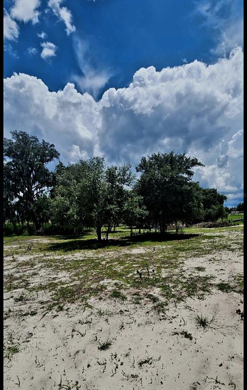562 Libby Road Babson Park, FL 33827 - Photo 42 of 42