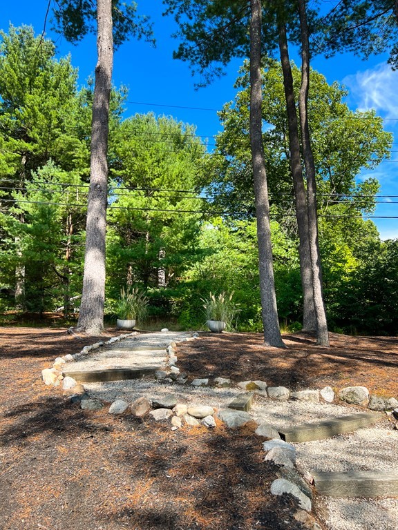 8 Demar Road Lexington, MA 02420 - Photo 3 of 14