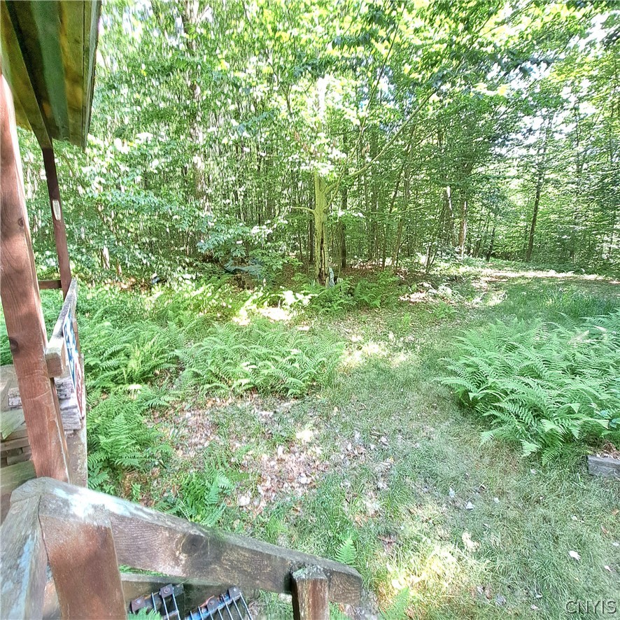Lot #5 Dolly Road, Unit 5 Camden, NY 13316 - Photo 2 of 8