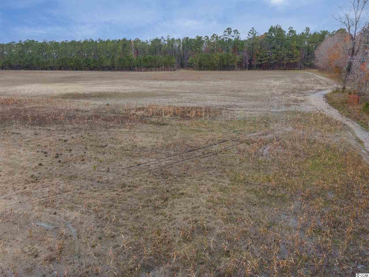 Ap Ap Thompson Road Longs, SC 29568 - Photo 23 of 31 Gallery Image 23