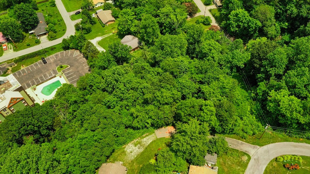 0 Scenic Loop Road Pigeon Forge, TN 37863 - Photo 6 of 8 Gallery Image 6