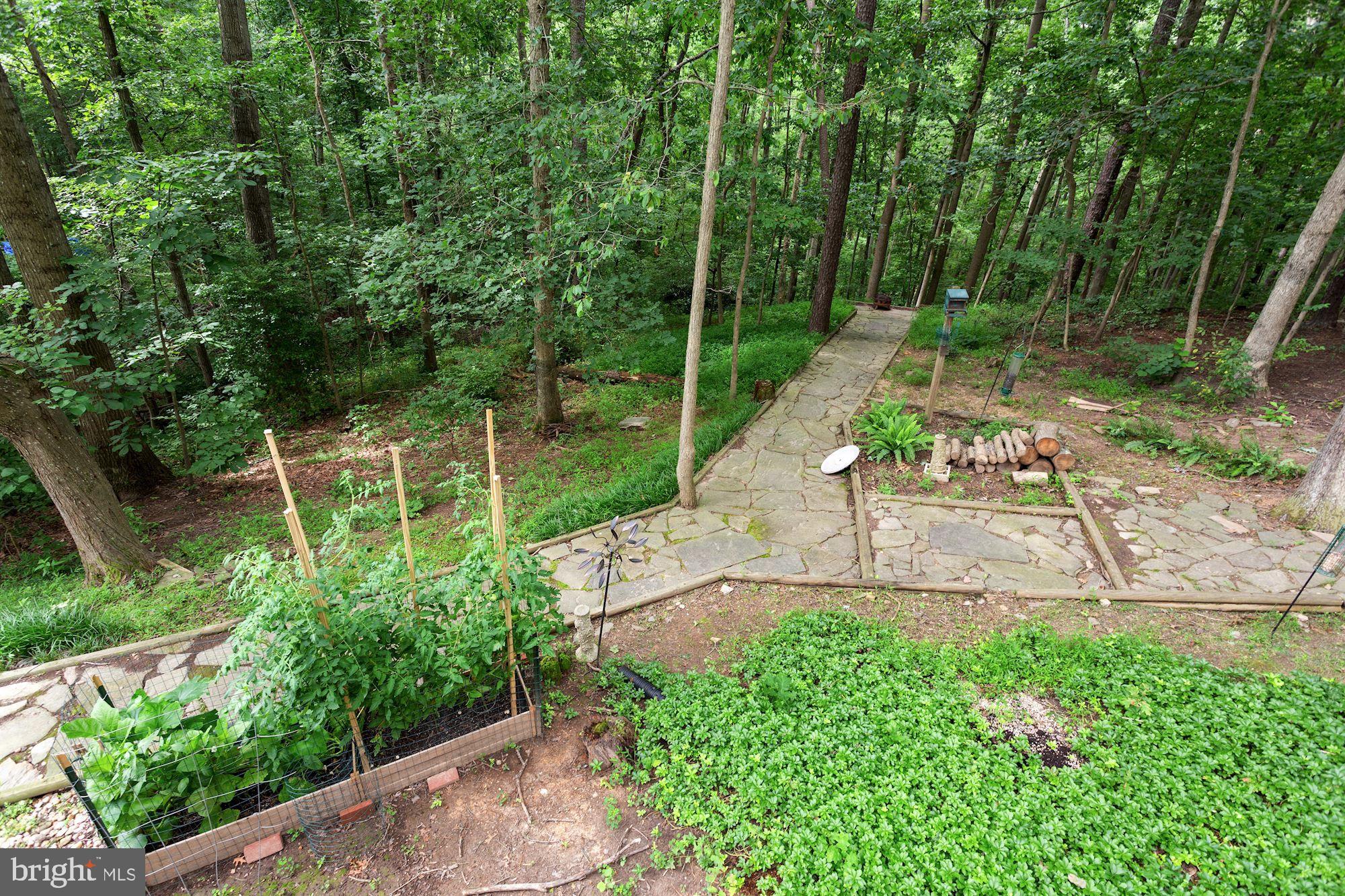 1958 Barton Hill Road Reston, VA 20191 - Photo 25 of 32 Stroll to the rear of property