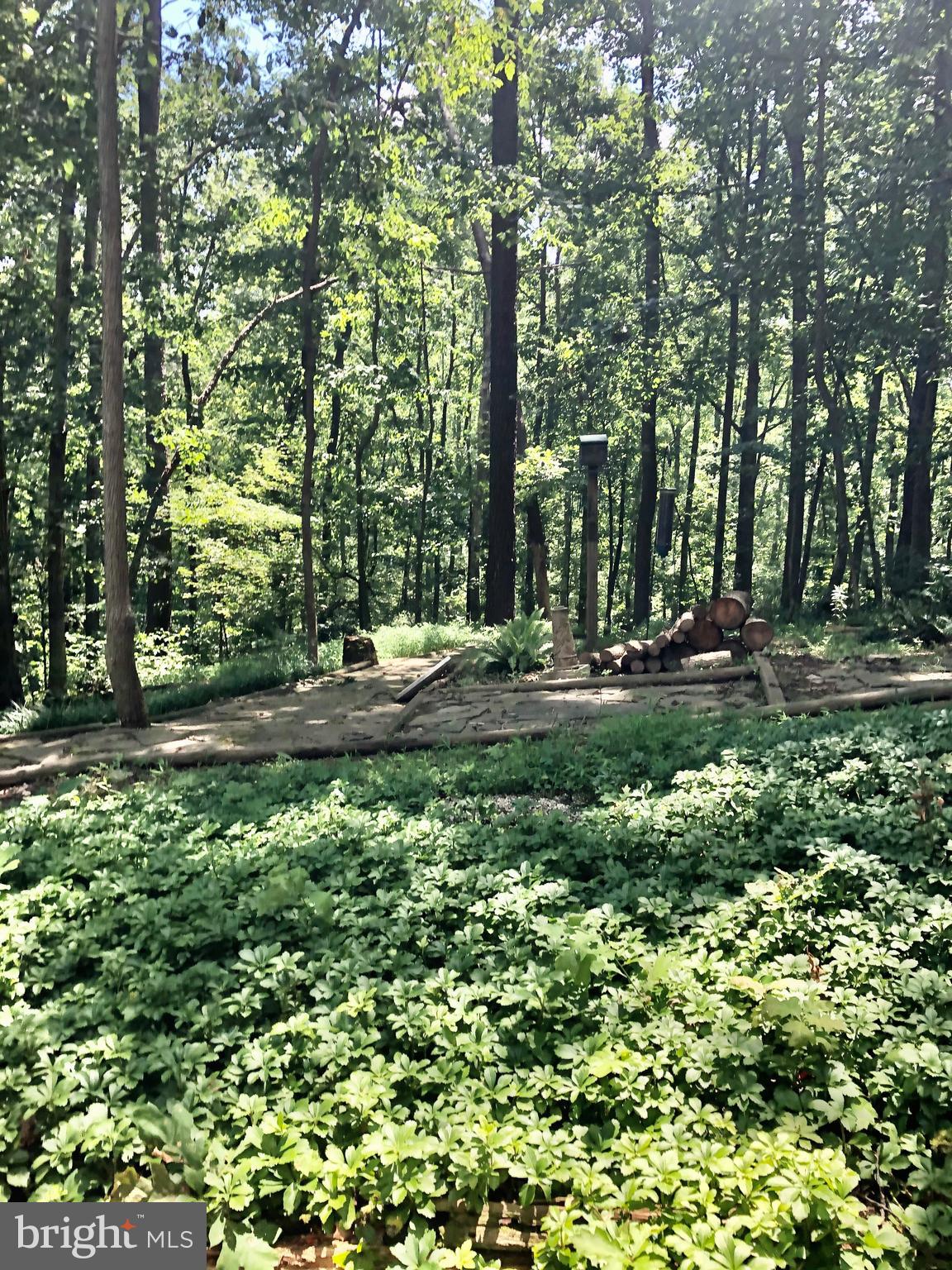 1958 Barton Hill Road Reston, VA 20191 - Photo 27 of 32 Backyard Views
