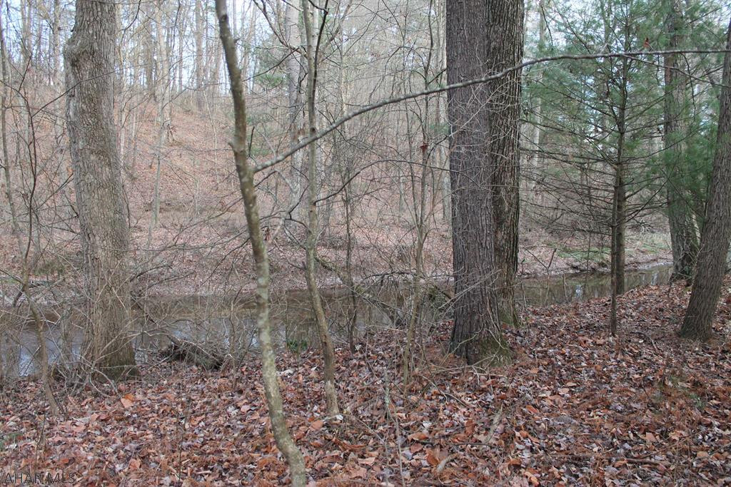 0 Lodge Road Crystal Spring, PA 15536 - Photo 48 of 54 Gallery Image 48