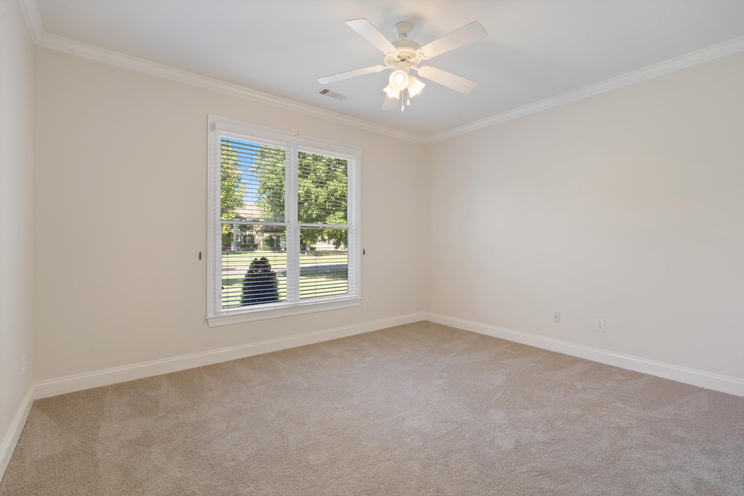1710 Stillwind Lane Collierville, TN 38017 - Photo 19 of 40 Second bedroom downstairs has adjacent full bath and beautiful natural light