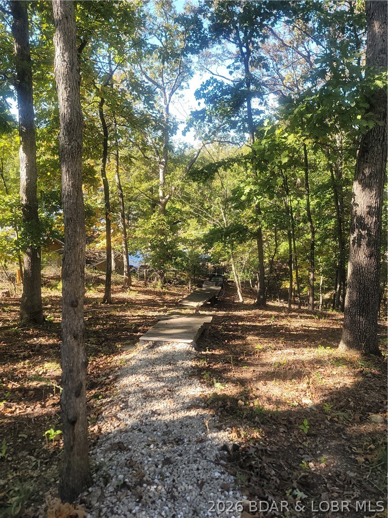 99 Rustic Woods Road Sunrise Beach, MO 65079 - Photo 46 of 48