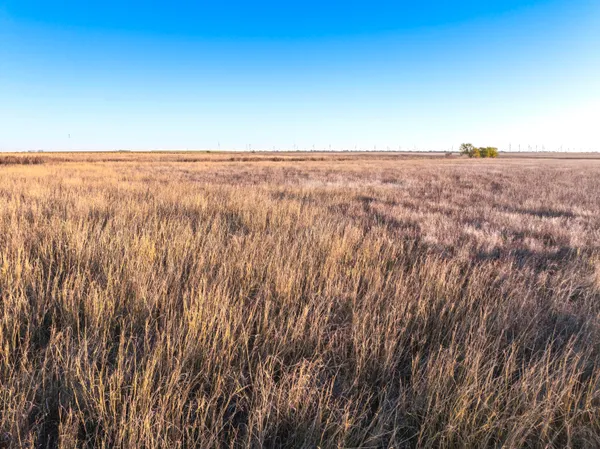 a view of a yard with an outdoor space