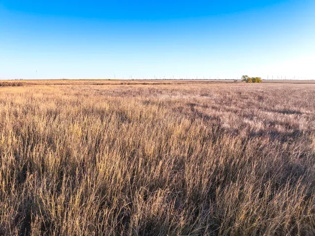 a view of a yard with an outdoor space