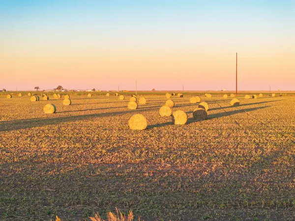 a view of an ocean and beach