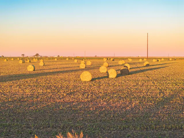 a view of an ocean and beach