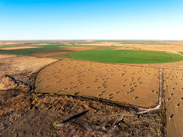 a close view of a door