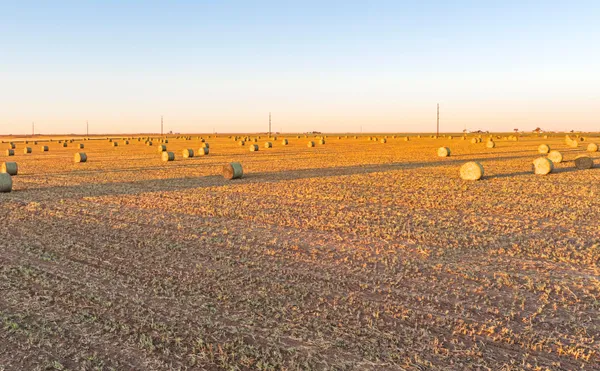 a view of an ocean beach