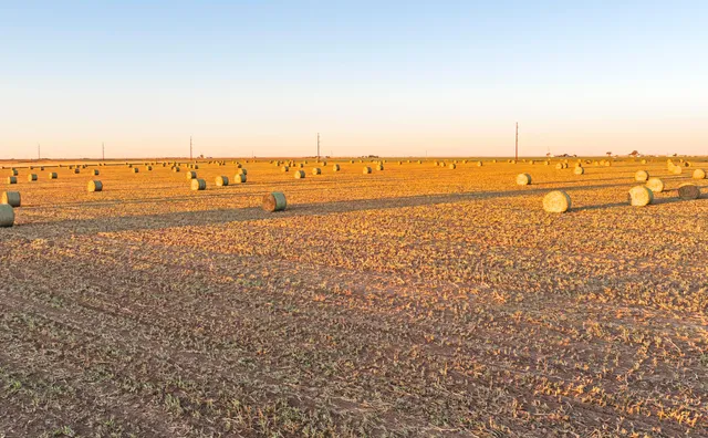 a view of an ocean beach