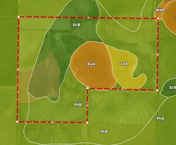 $608,685 | 509 Cr Hereford Tx 79045, Hereford, TX 79045