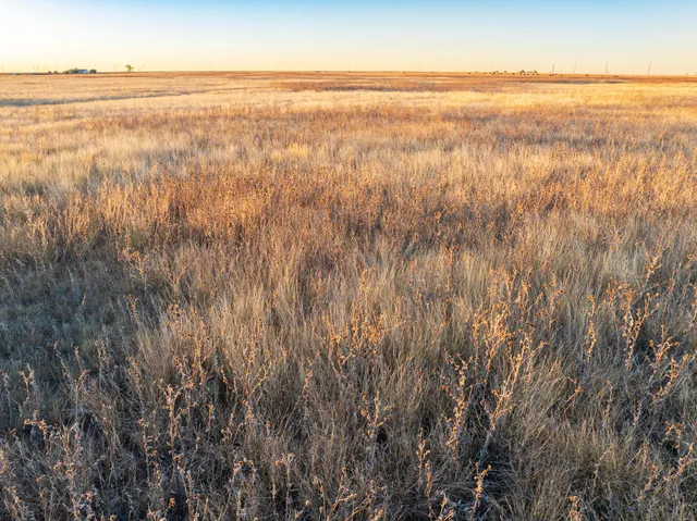 a view of city and ocean
