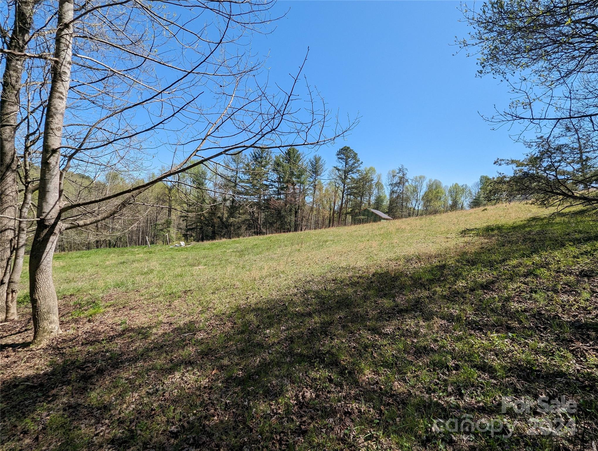 Tbd Jaybird Lane Flat Rock, NC 28731 - Photo 2 of 4 a view of outdoor space and yard